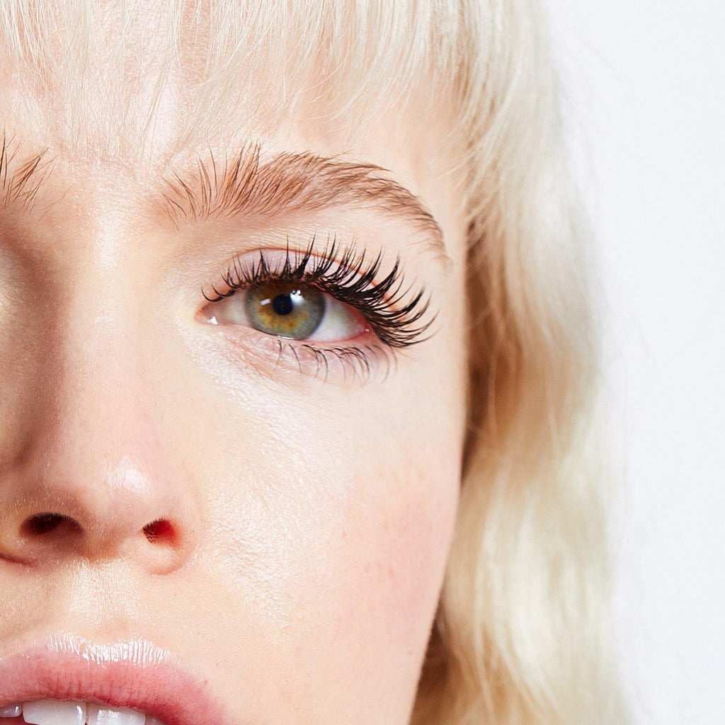 Lash 101: Kickstart with Classic - Borboleta Beauty